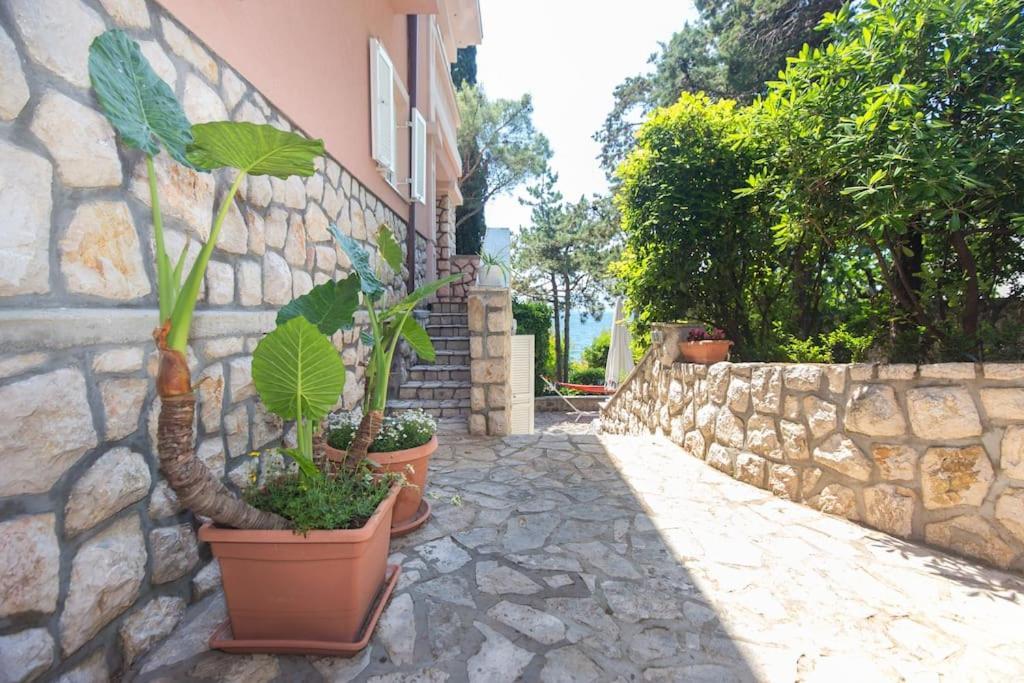 Villa Stefi Novi Vinodolski Dış mekan fotoğraf